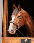 Brydalworx Luxe Hunter Bridle Padded