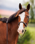 Brydalworx Luxe Hunter Bridle Padded