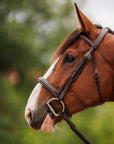 Brydalworx Luxe Hunter Bridle Padded
