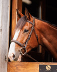 Brydalworx Luxe Hunter Bridle Padded