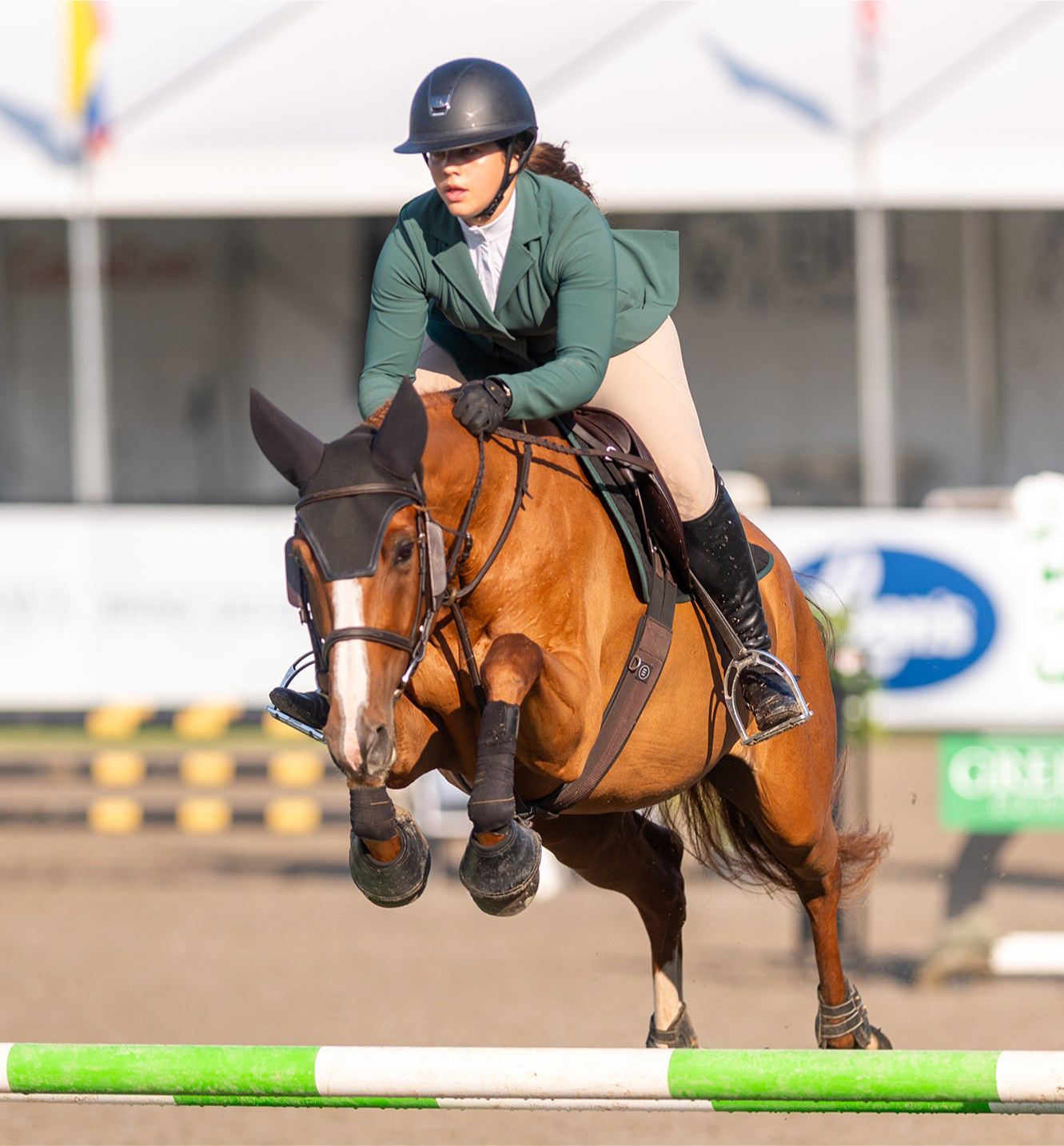 Willow Equestrian Luxe Show Jacket Hunter Green