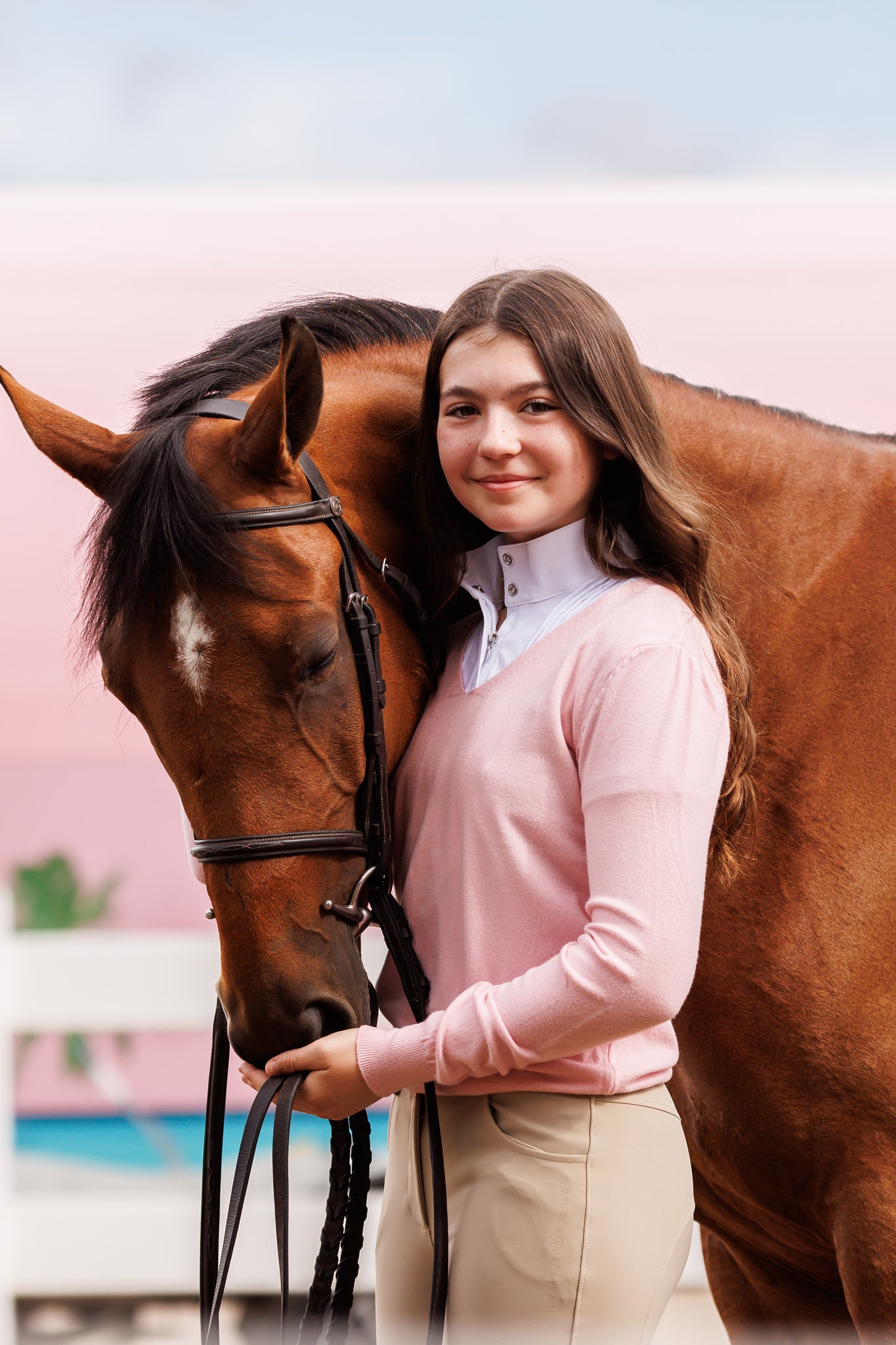 Willow Equestrian V Neck Sweater Pink
