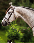 Brydalworx Anatomical Bridle with Flash Noseband