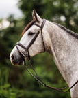 Brydalworx Anatomical Bridle with Flash Noseband