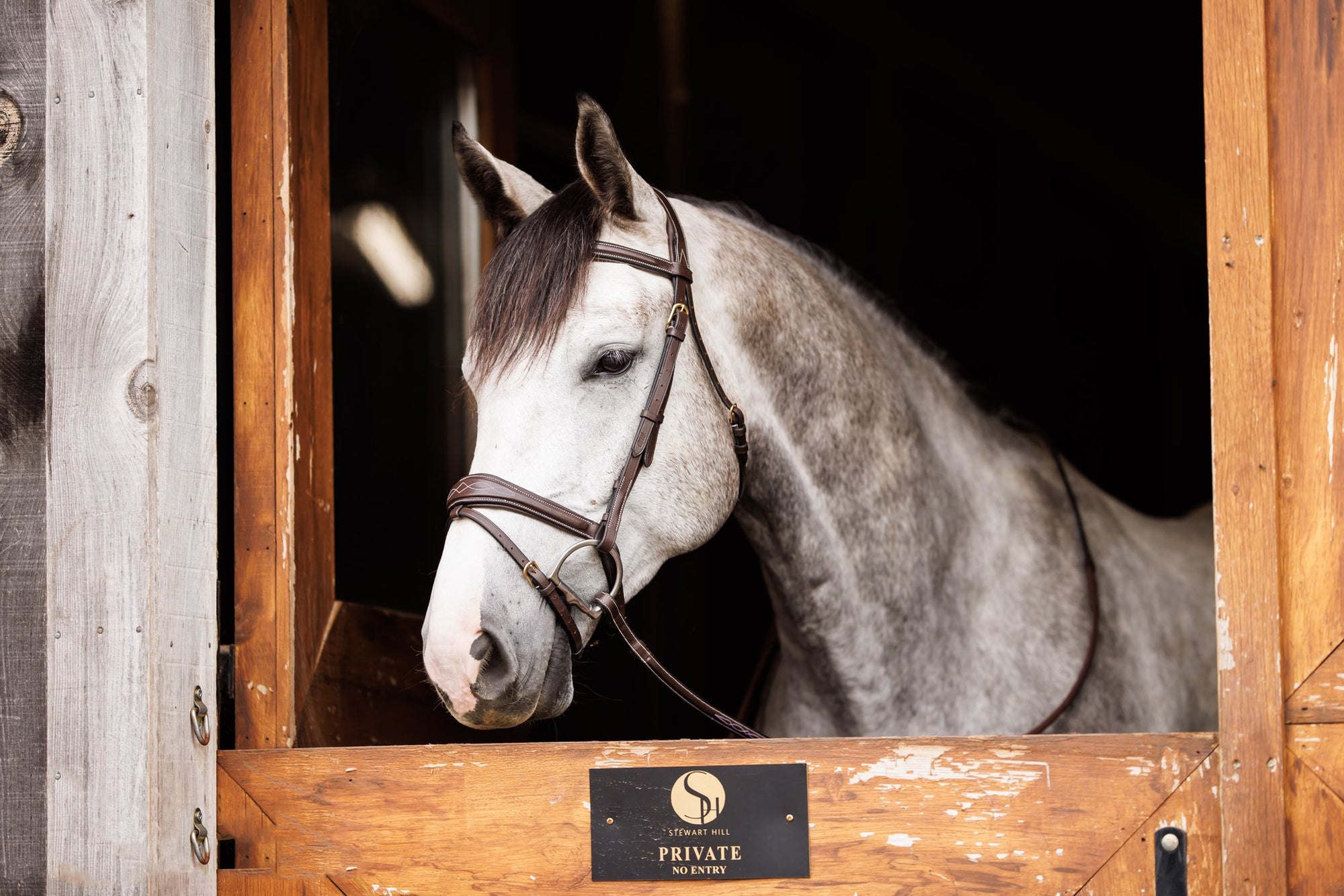 FSS Freeform Anatomical Bridle With Crystal Bling - Dressage Bridle - Black Leather - White Stitch Cut Away Patent