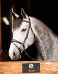 Brydalworx Anatomical Bridle with Flash Noseband