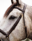 Brydalworx Anatomical Bridle with Flash Noseband
