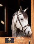 Brydalworx Anatomical Bridle with Flash Noseband