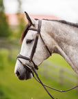Brydalworx Anatomical Bridle with Flash Noseband
