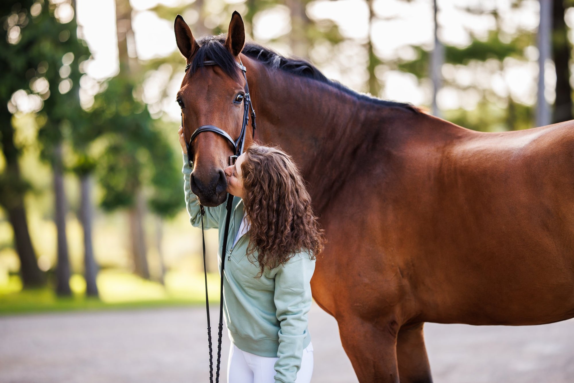 Willow Equestrian Quarter Zip Sweatshirt Sage