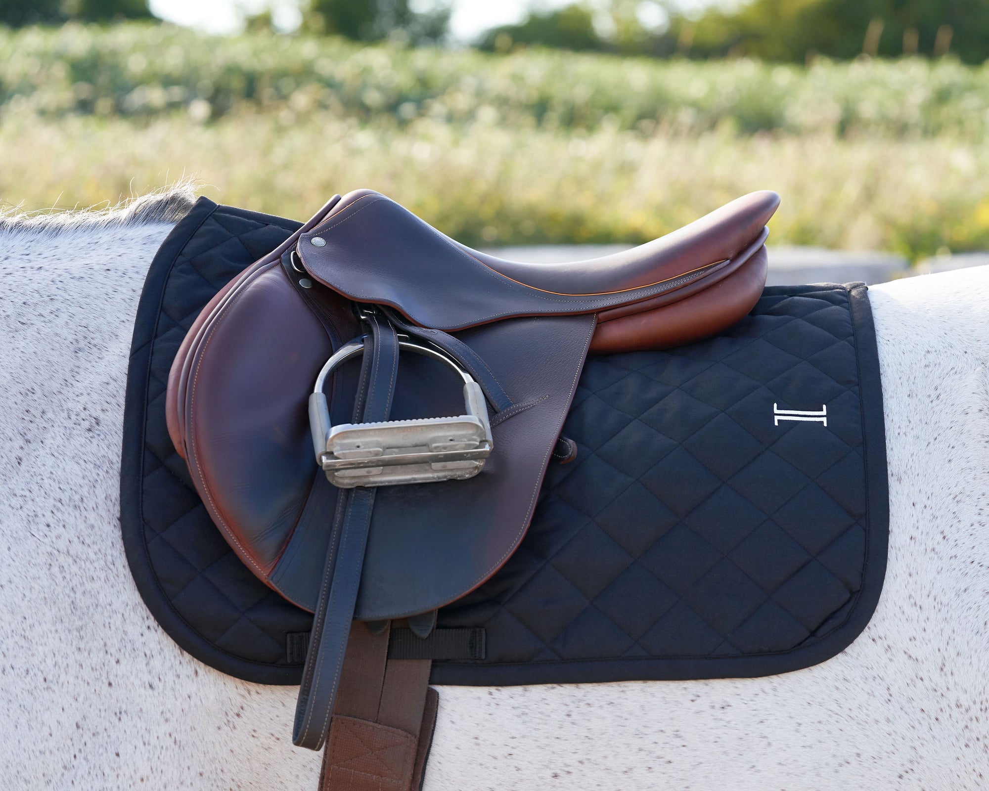 Basics Equestrian Saddle Pad Black