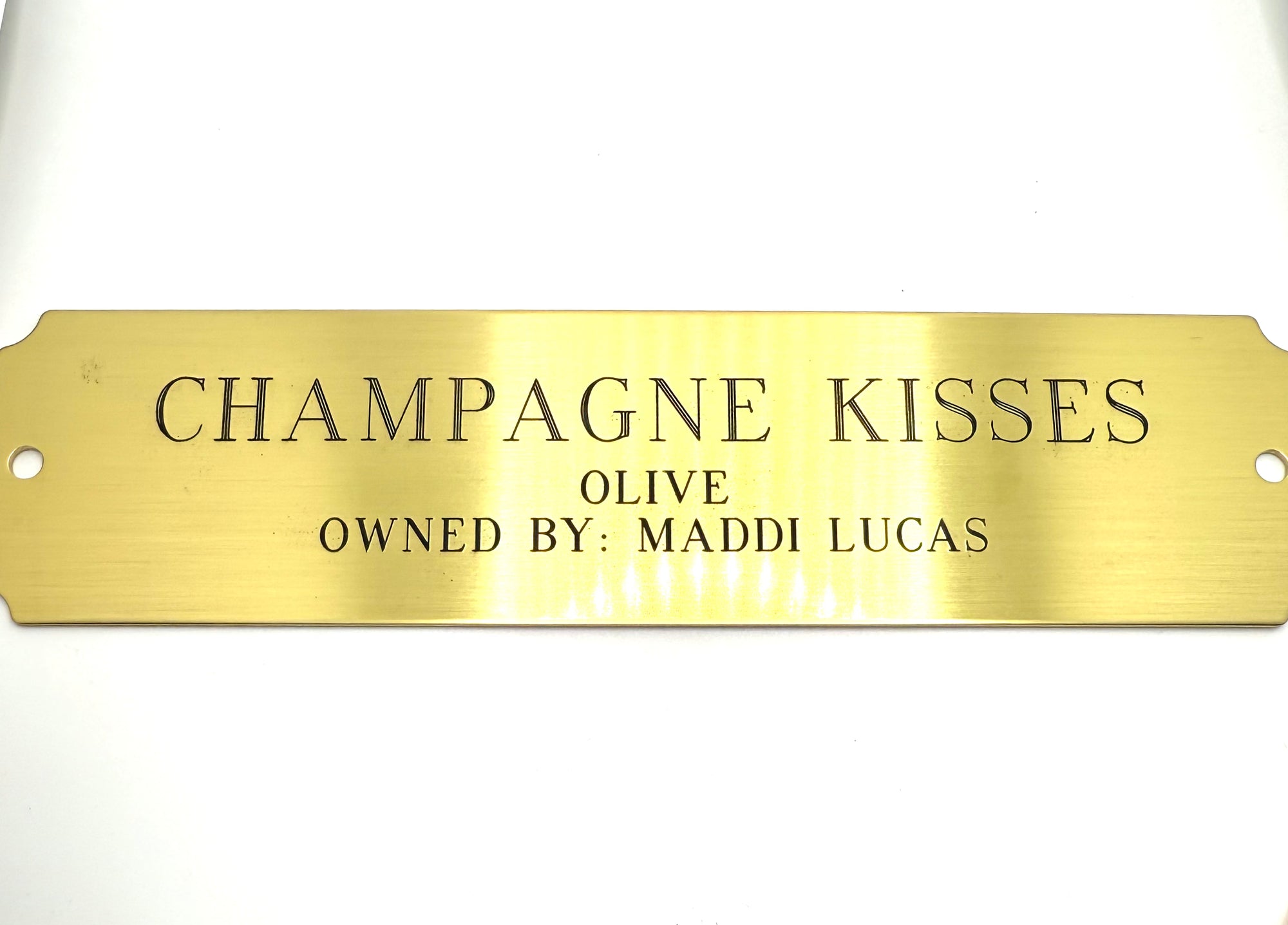 Engraved Brass Square Stall Plate