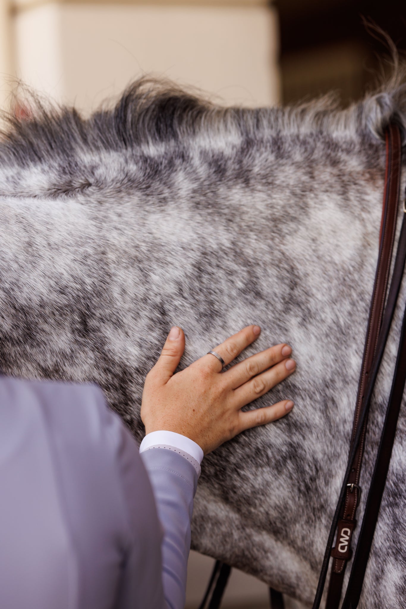 Luxe Show Jacket Lilac