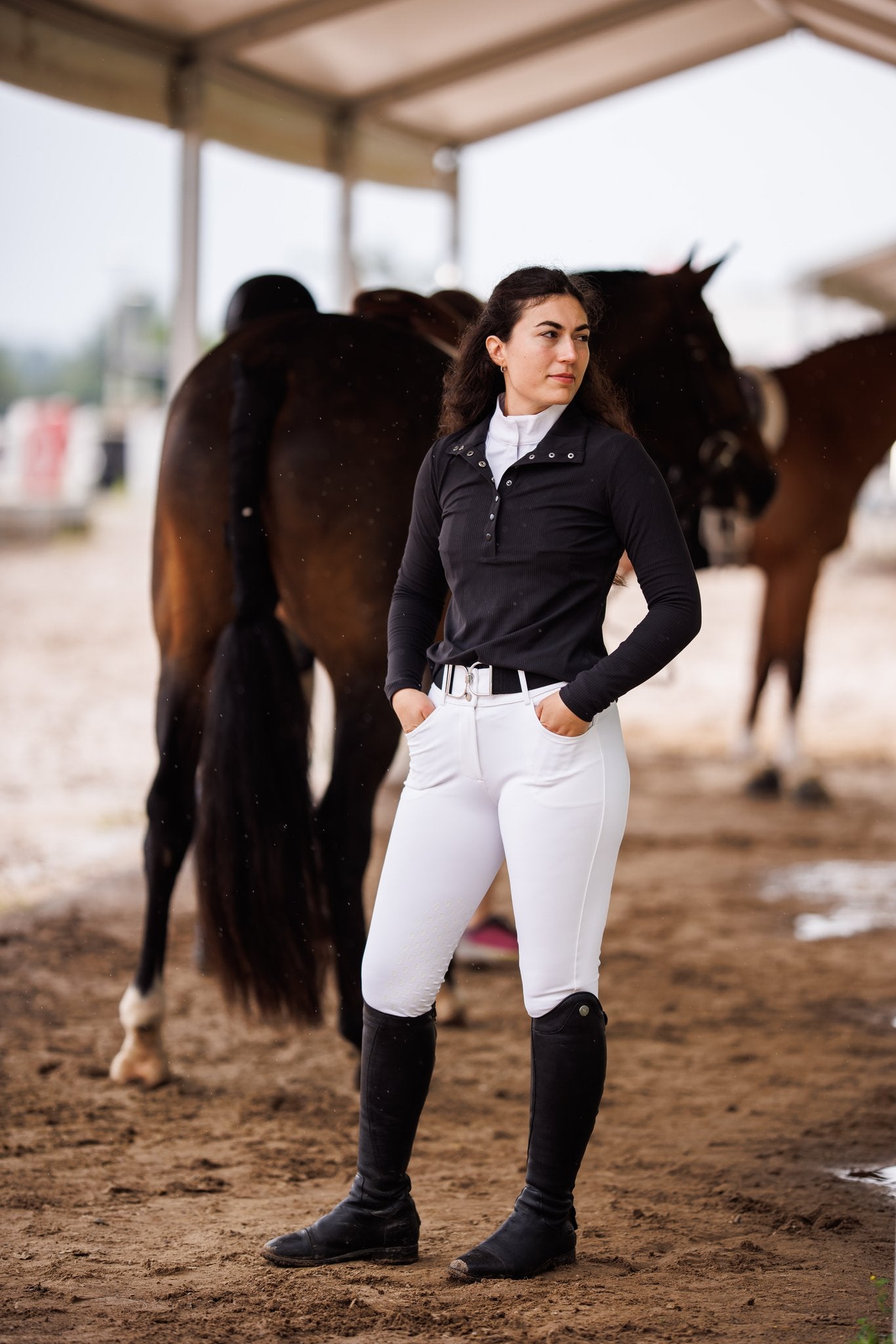 Collections – Willow Equestrian