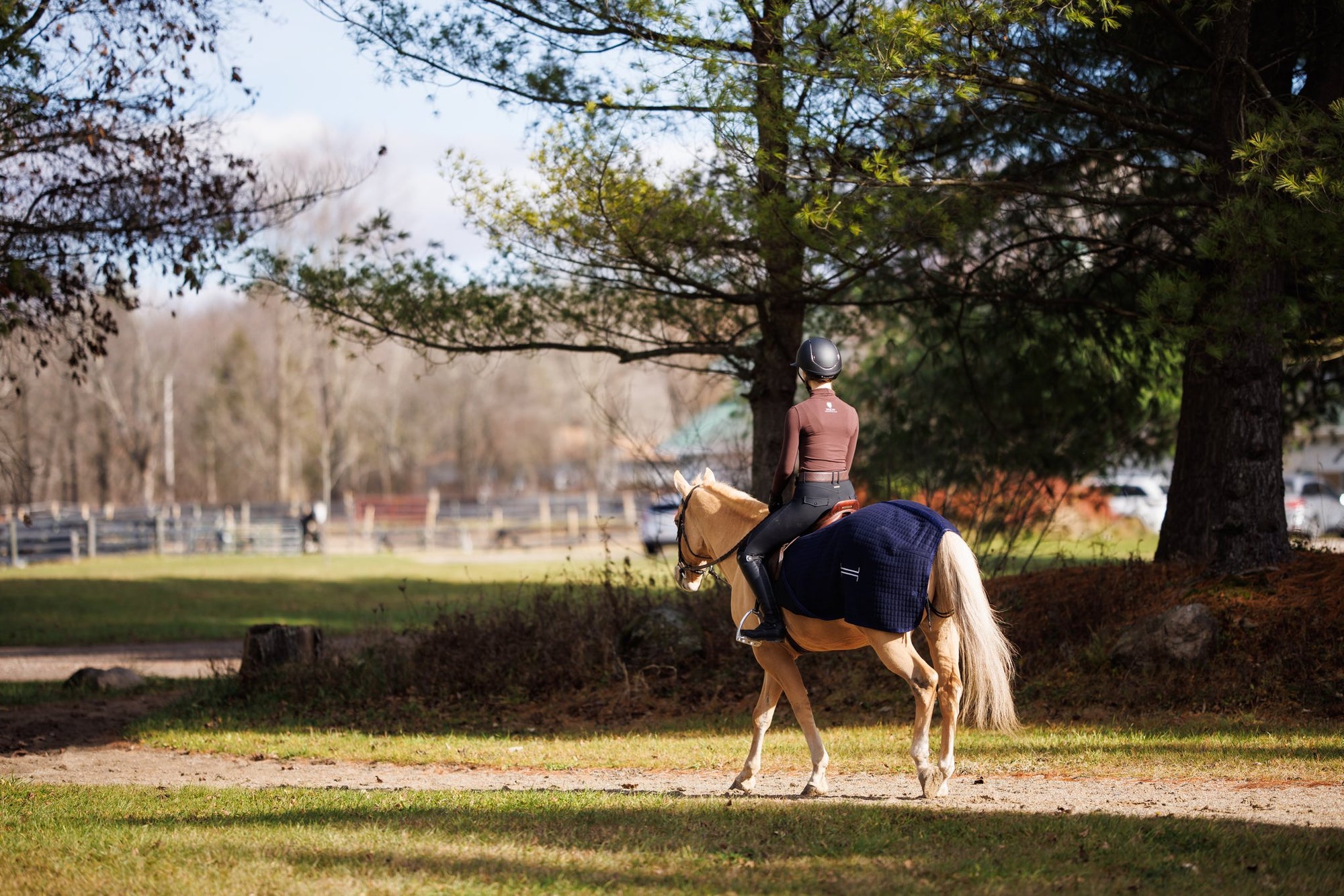 Basics Equestrian Quarter Sheet Navy
