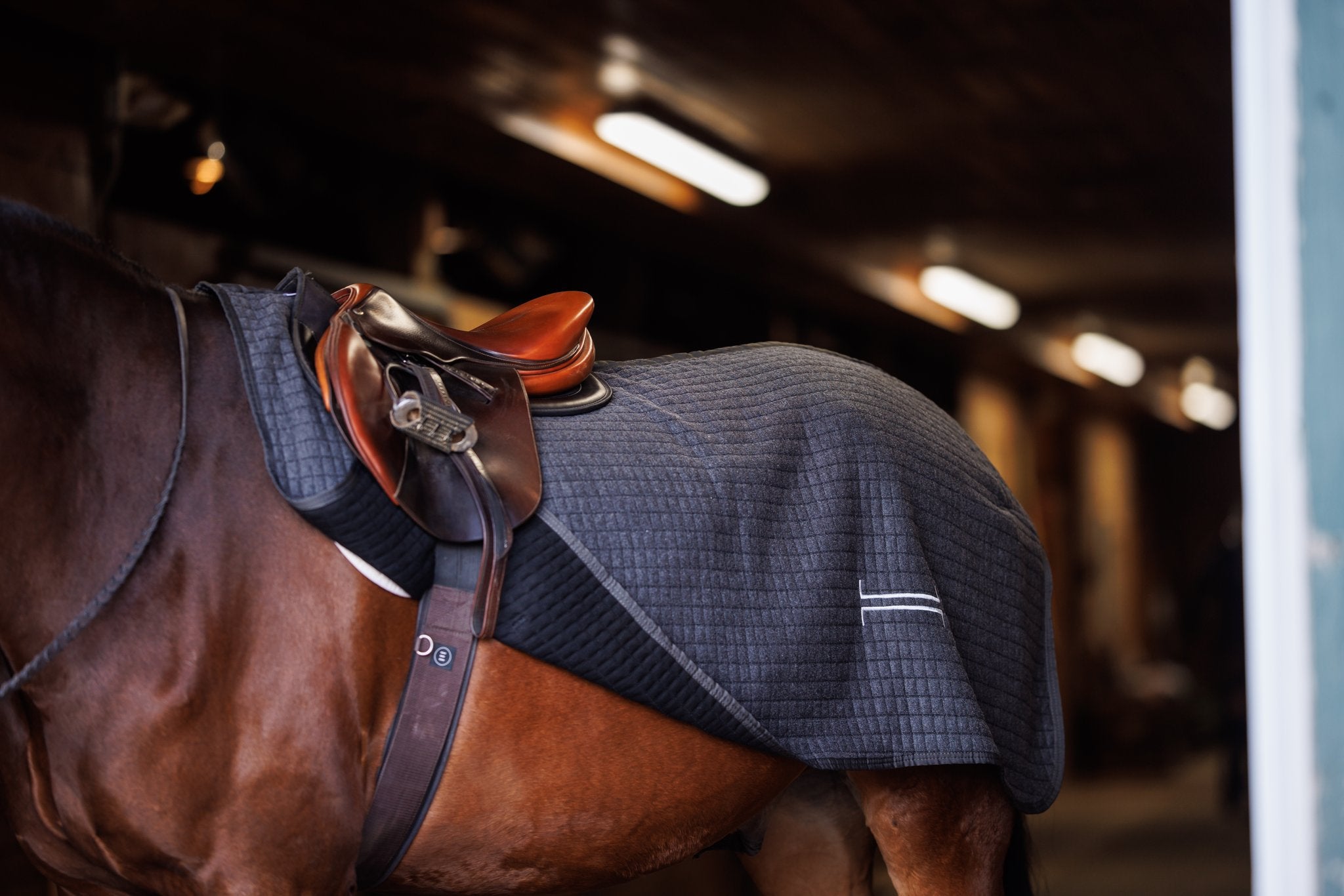 WILLOW WINTER 25 – Willow Equestrian