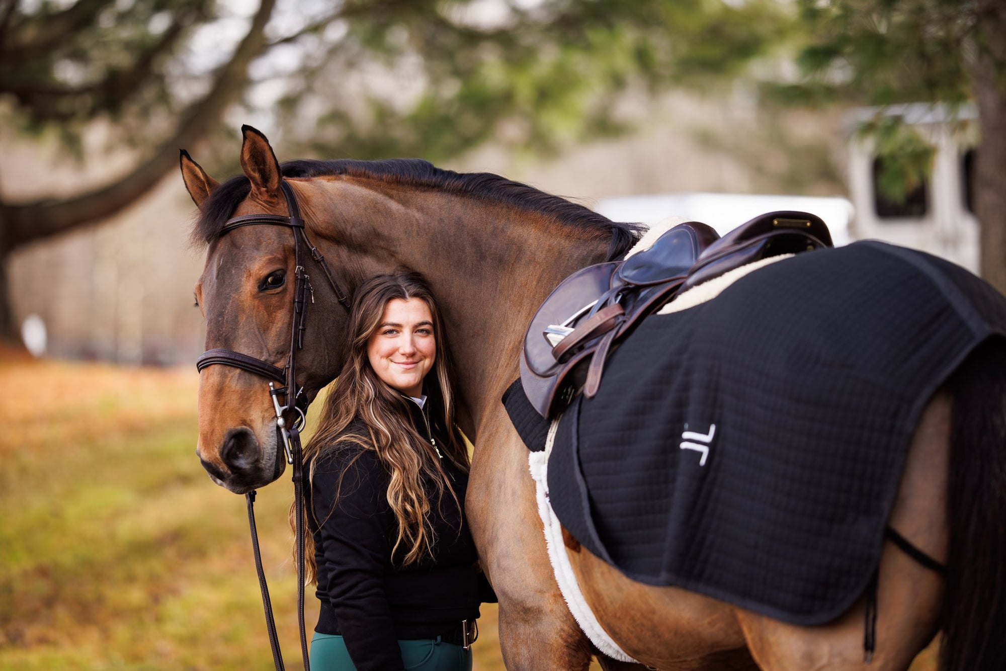 Basics Equestrian Quarter Sheet Black