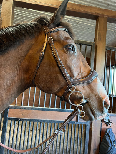 Brydalworx Poll Relief Jumper Bridle