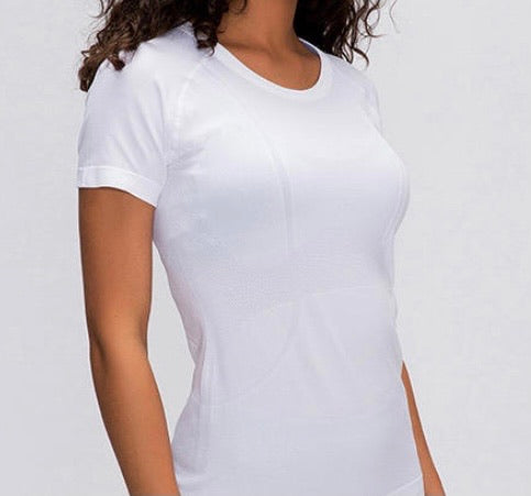 Willow Equestrian Basics Seamless Short Sleeve